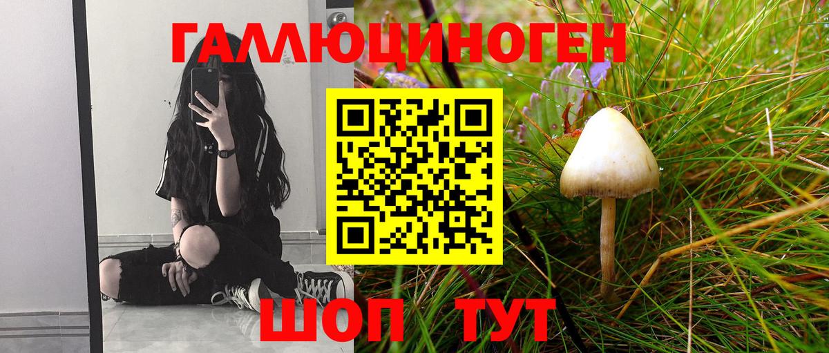 Галлюциногенные грибы GOLDEN TEACHER  Псилоцибиновые грибы мицелий  Вход с VPN  Шатура 