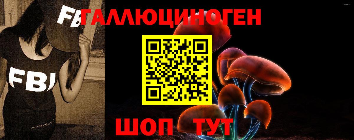 Галлюциногенные грибы Cubensis Шатура
